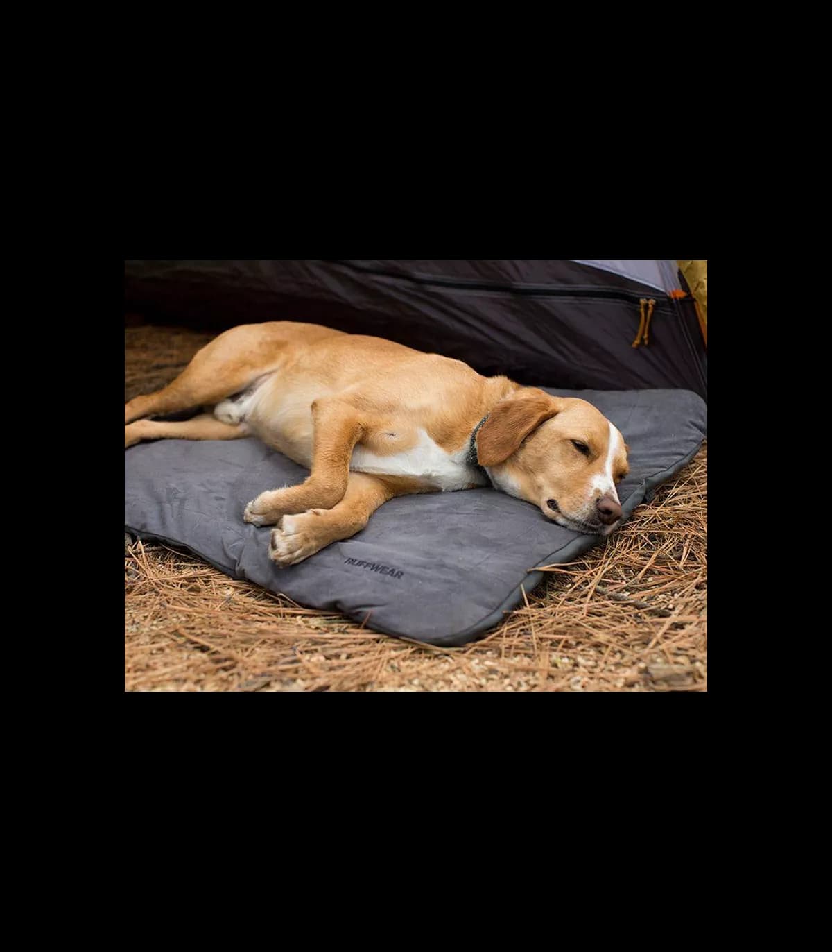 Ruffwear Mt Bachelor pad matelas pour chien