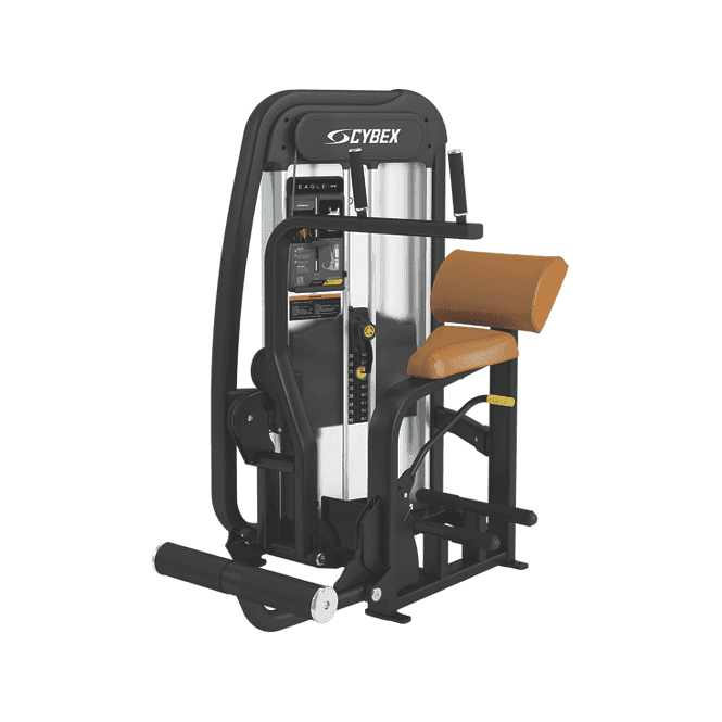 Cybex Eagle NX Series Selectorized Abdominal | SALE | Buy Online UK