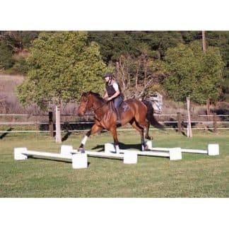 Cavaletti Blocks With 4 Adjustable Heights from 6in to 1ft