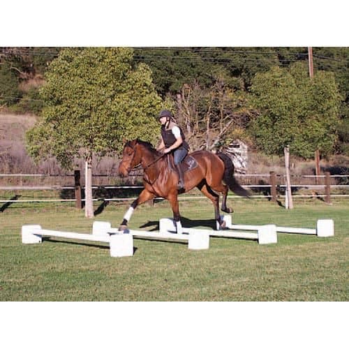 Cavaletti Blocks With 4 Adjustable Heights from 6in to 1ft