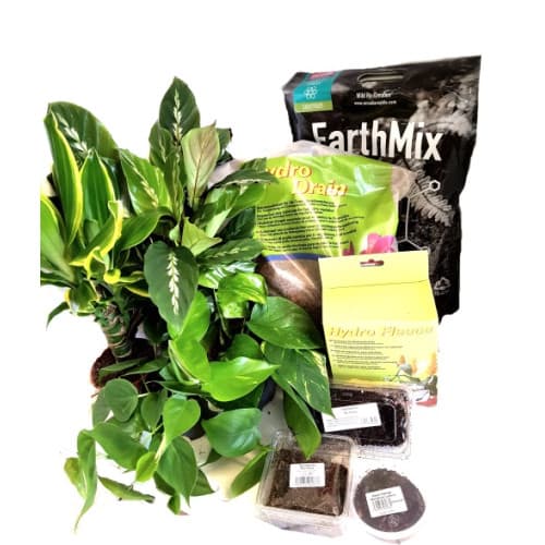 Bioactive Vivarium Kit (Small) - GGBVKSm | GlobalGeckos.co.uk