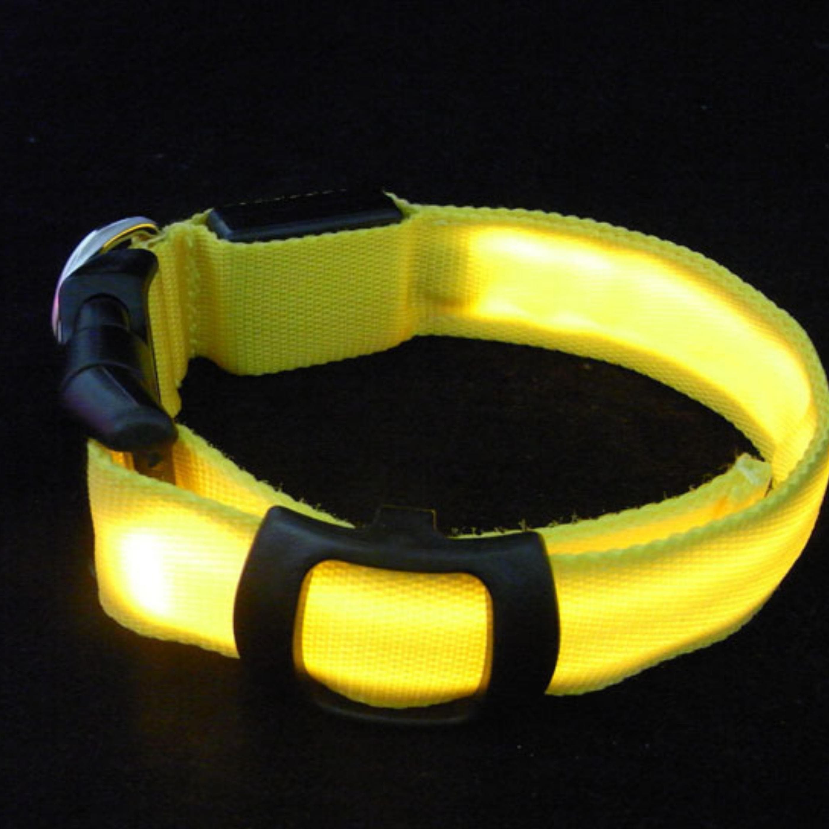 USB Rechargeable Lighted LED Dog Collar - GOOD SELLER CO., LTD.