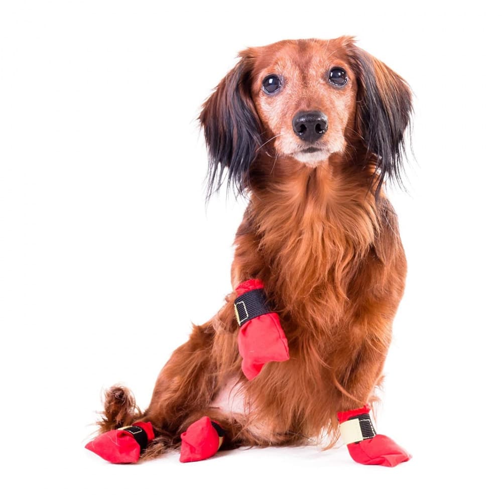 Non-stop Dogwear Long Distance Bootie 4-pack (XL) - Gosiga Djur