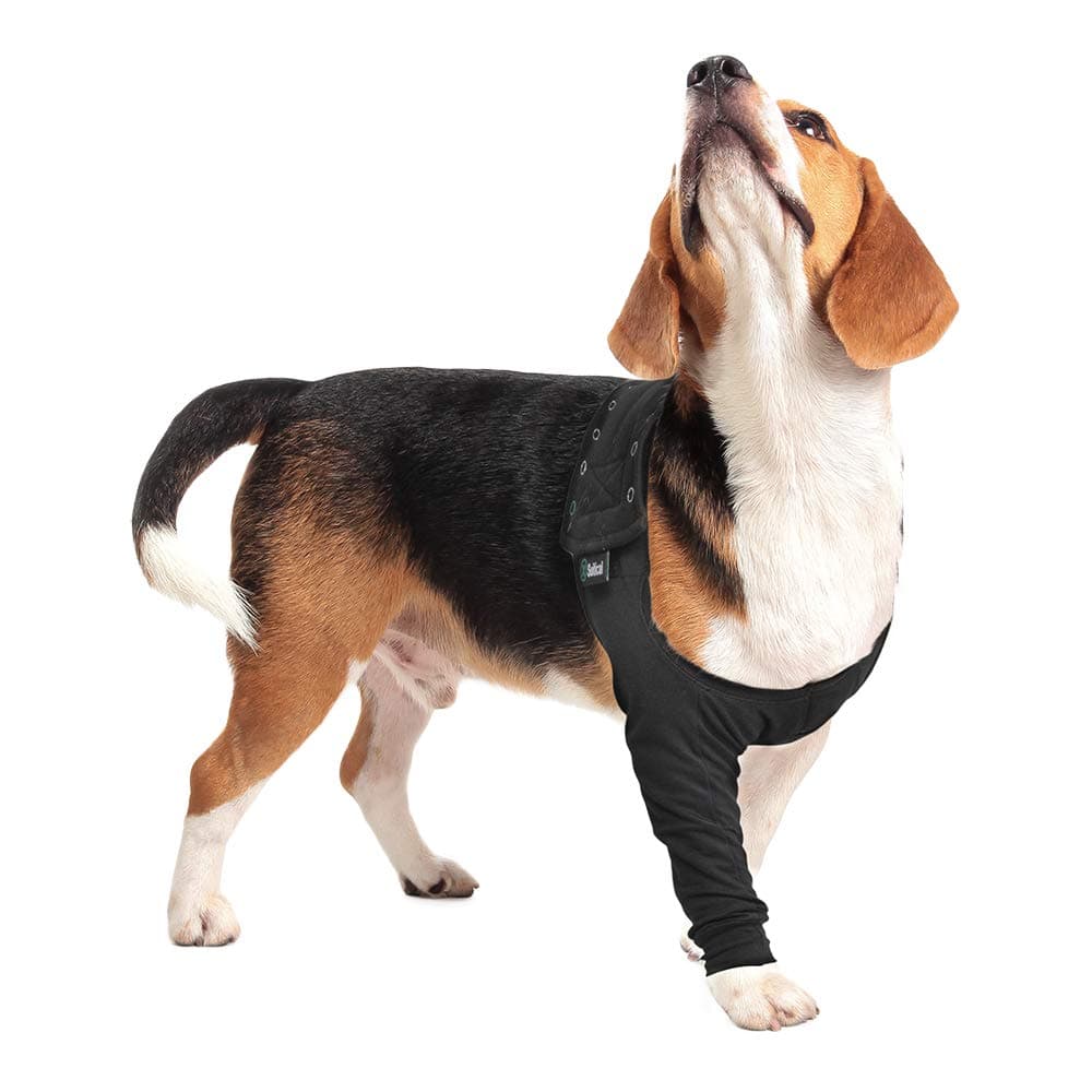 Suitical Recovery Sleeve for Small Dogs - Black | Dog P…