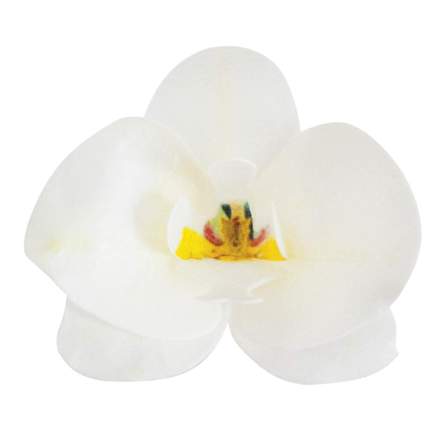 Dekora Edible White Orchid Cake Decoration | Edible Flowers for Cakes ...