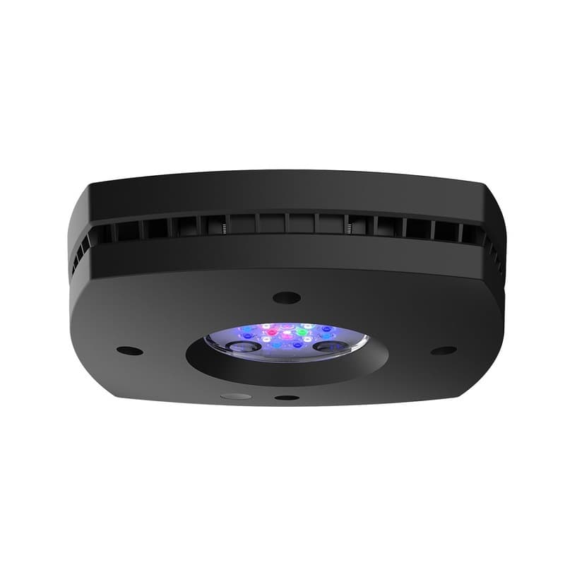 Aqua Illumination Prime 16HD Reef Light - Hawaii Reef Fish