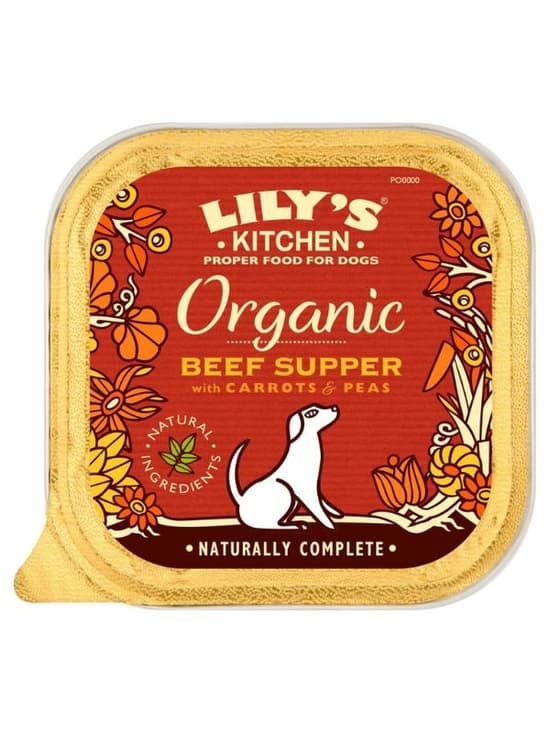 Beef Supper for Dogs, Organic 150g (Lily's Kitchen) | Healthy Supplies
