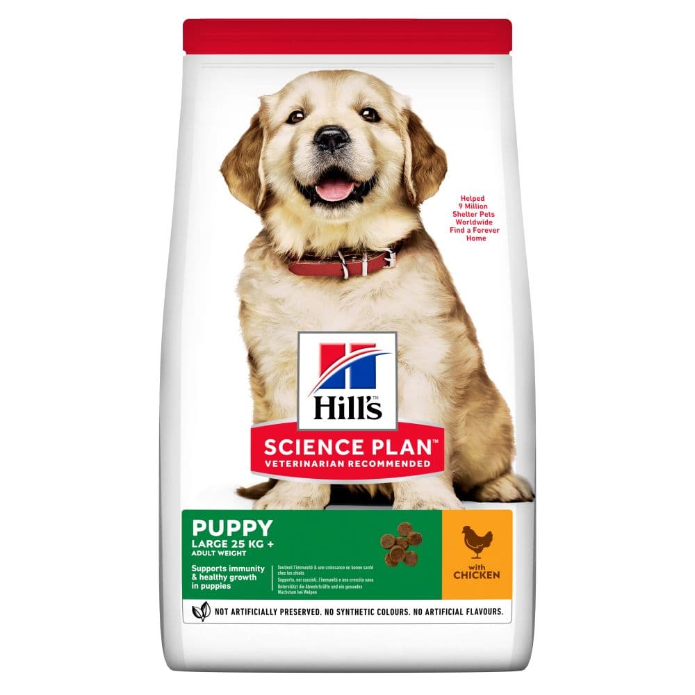 Buy HILL'S SCIENCE PLAN Puppy Large Breed Dry Dog Food Chicken Flavour ...