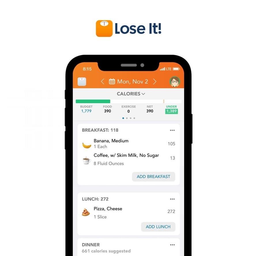 Lose it Review - Must Read This Before Buying