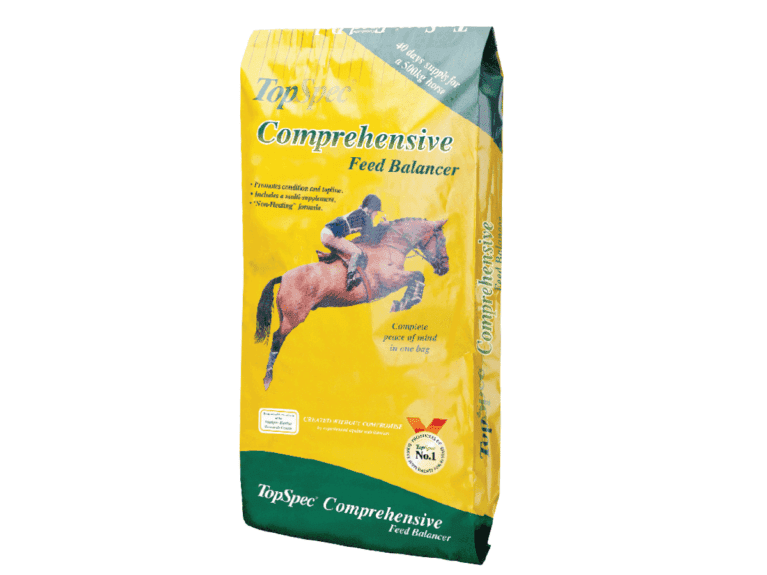 Gear Guide | Equestrian product reviews and releases | Horse and Rider