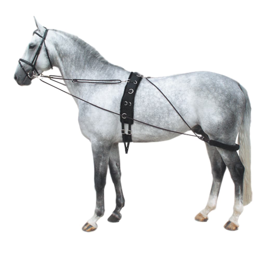 Pessoa type lunge aid