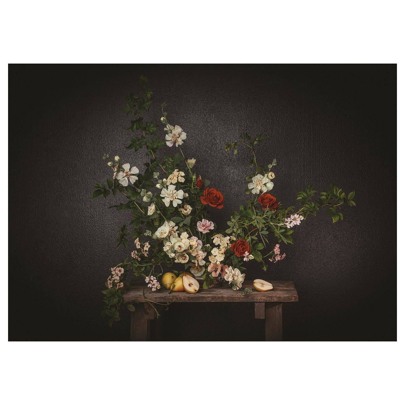 PJÄTTERYD picture, flowers-against a black wall, 70x50 cm - IKEA