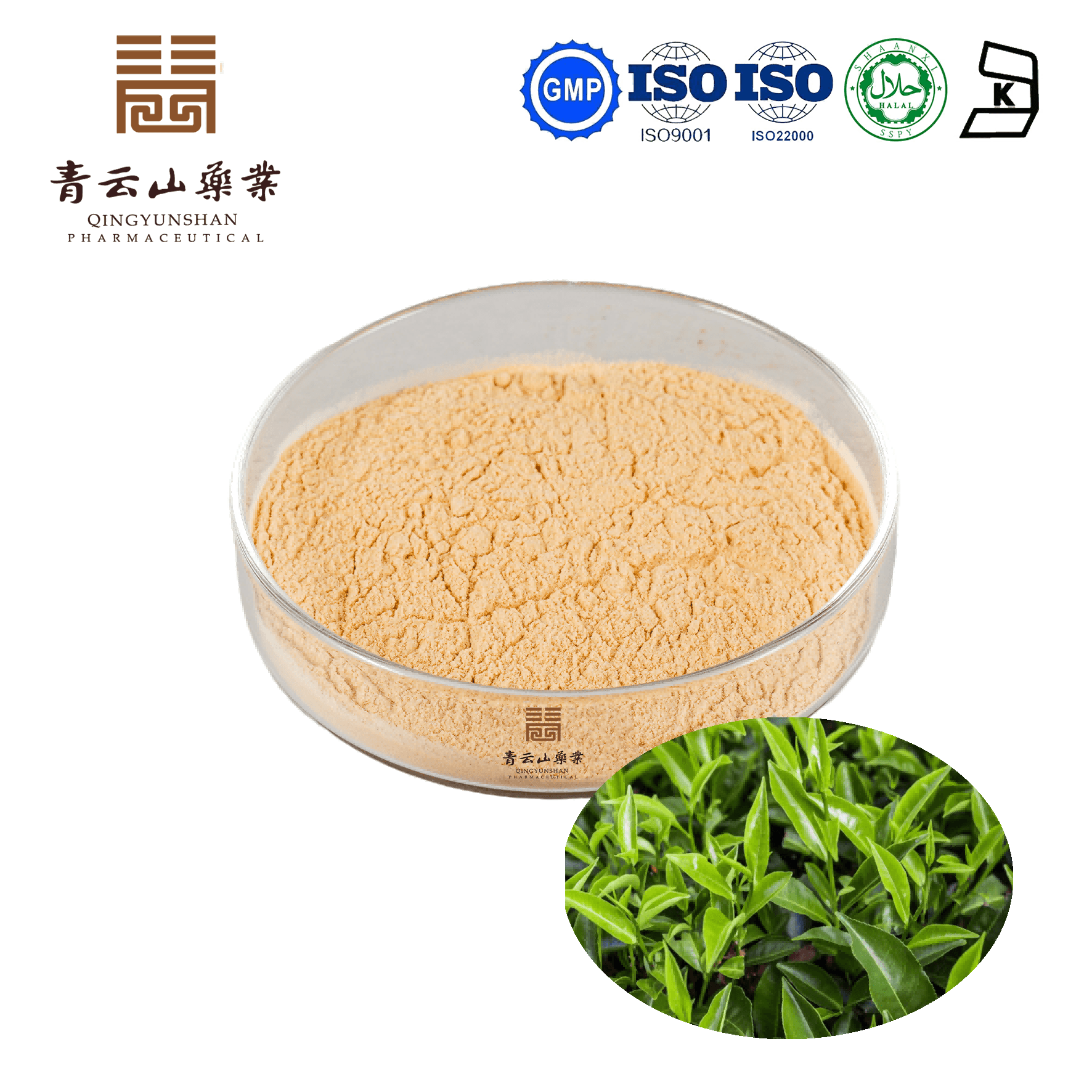 Bulk Powders Green Tea Extract 98% 500mg
