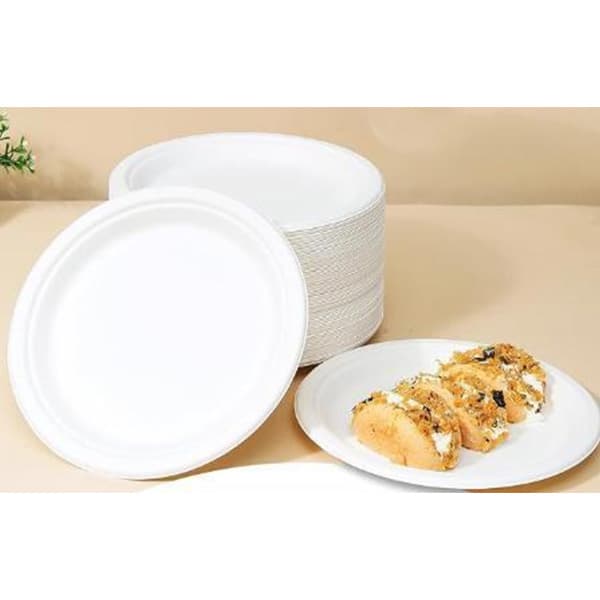 Compostable Dinner Plates – 10 Inch Eco-Friendly Sugarcane