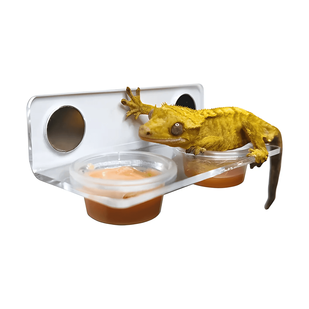 Lucky Reptile Herp Diner Magnetic Feeding Ledge