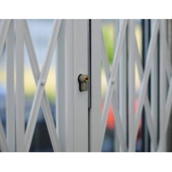 SeceuroGuard 1001 Removable Security Grille