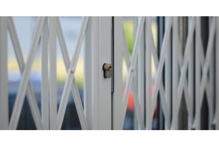 SeceuroGuard 1001 Removable Security Grille