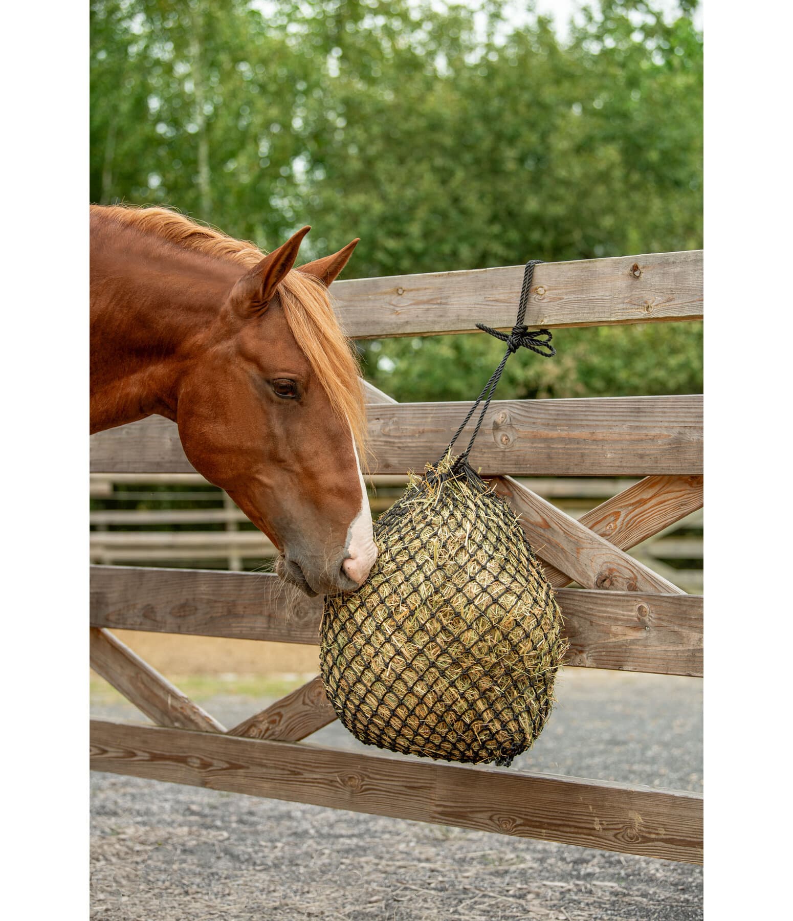 Haynet Slow Feeding - Stable & Arena - Kramer Equestrian