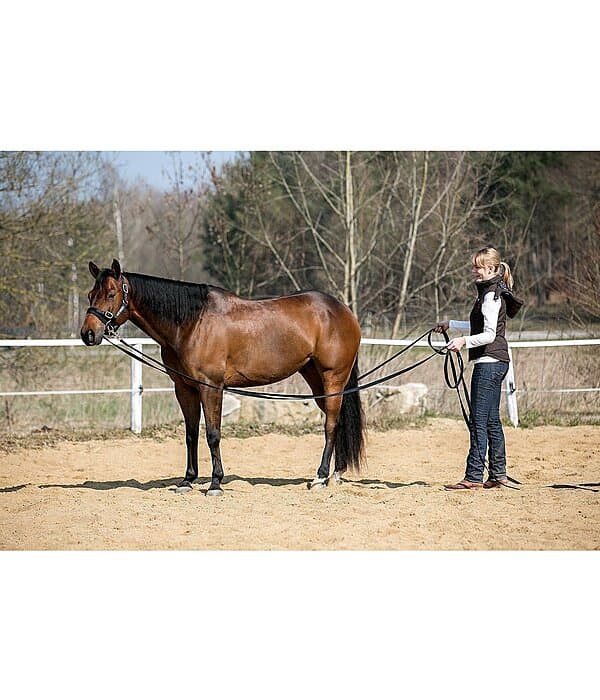 Long Lines - Lunge Reins - Kramer Equestrian