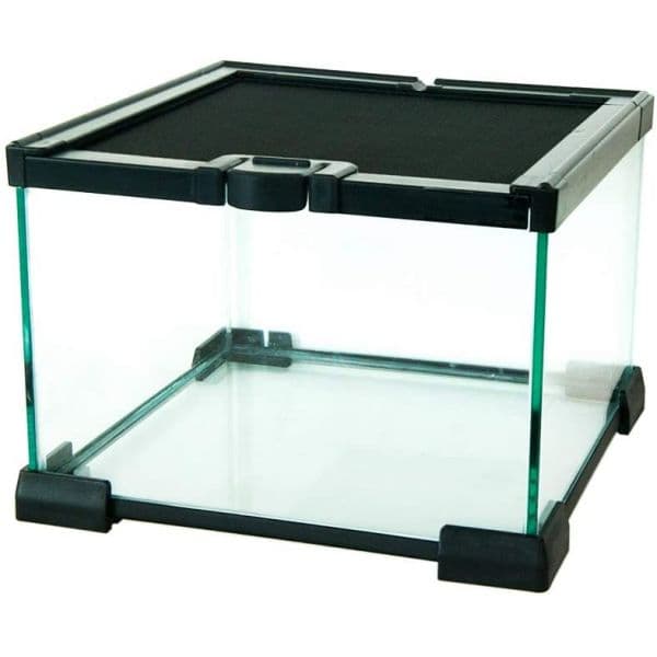 Komodo nano habitat 21x21x15 cm - Køb online i dag