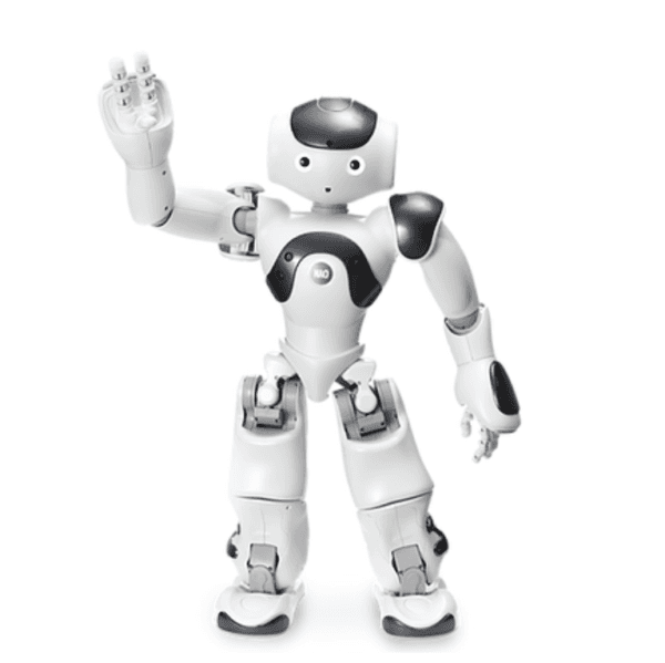 Robot humanoïde interactif NAO (6ème génération) Softbank Robotics ...