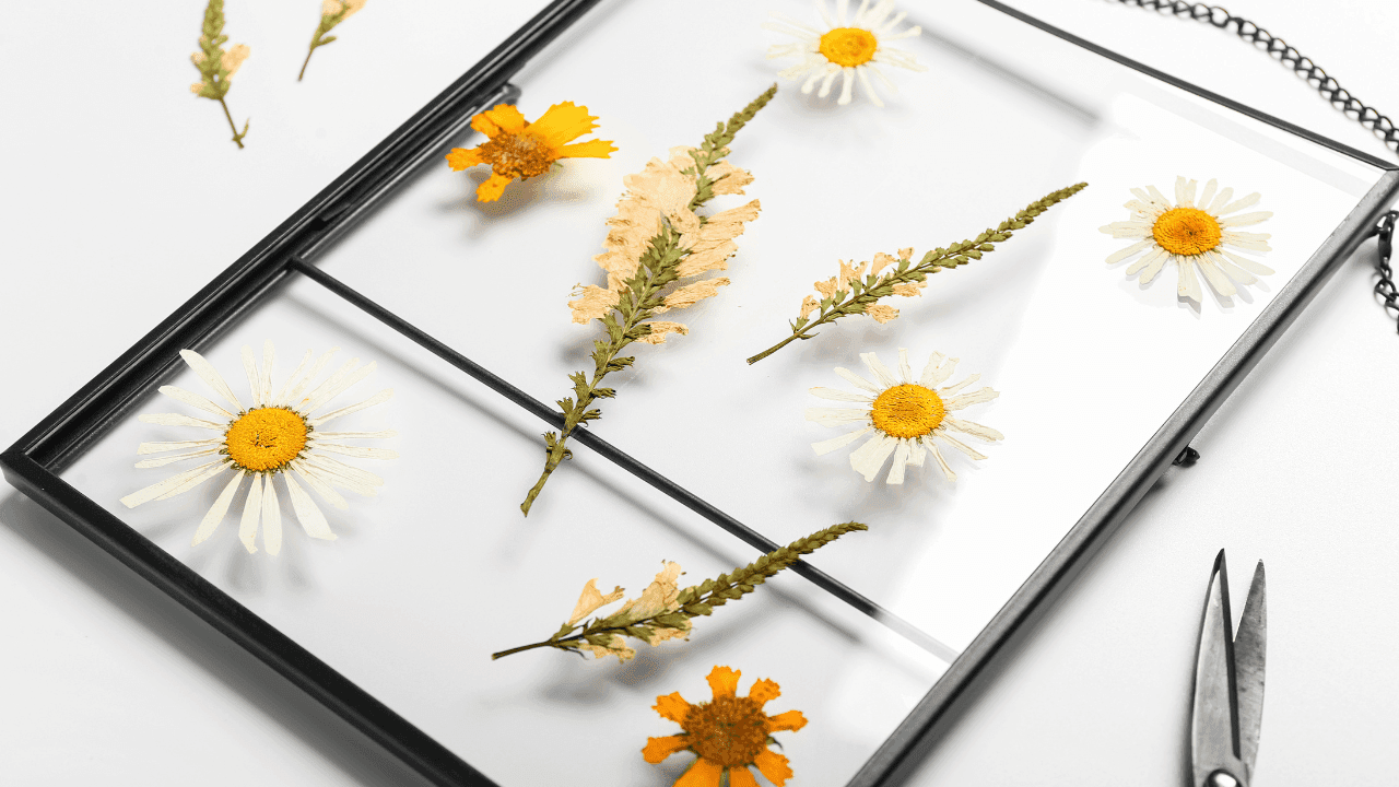 Pressed Flower Floating Frame - Lewis Ginter Botanical Garden