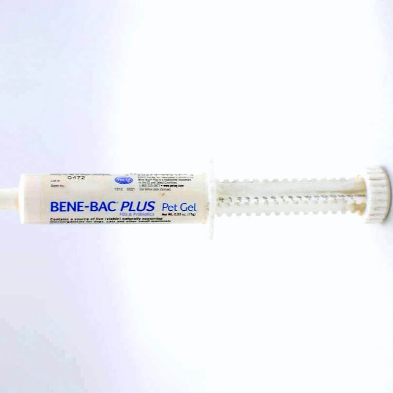 Benebac Plus Pet Gel 15g for dogs & cats - LoyalPetZone India