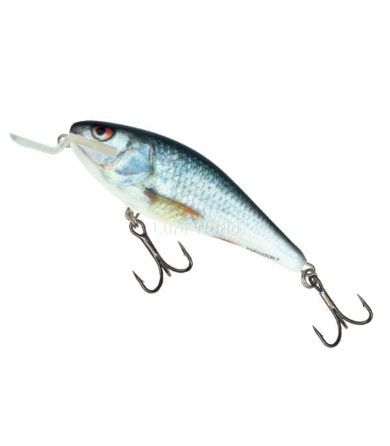 Salmo Executor 12F - 12cm, floating - Lure World Fishing Tackle
