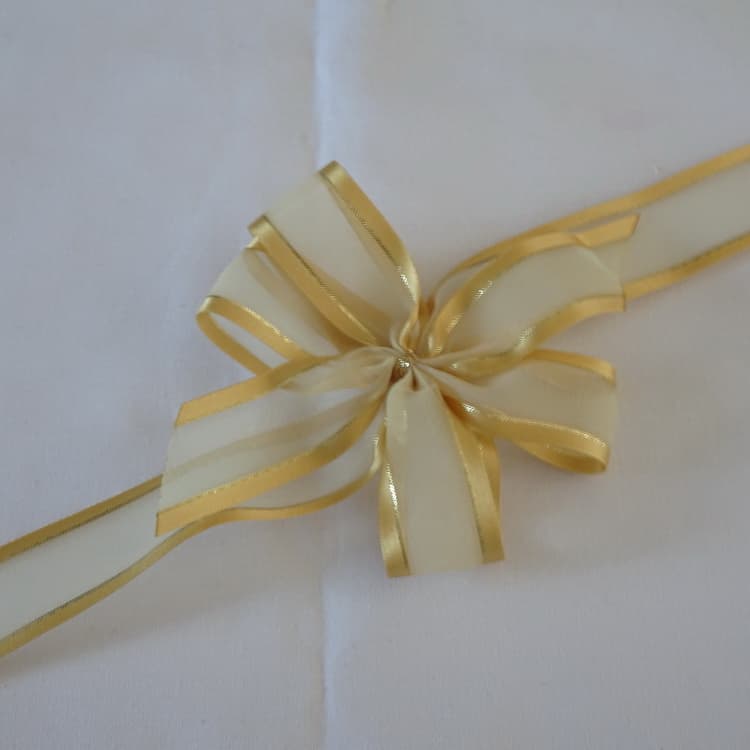 Bows & Flowers Packs: Long Tail Double Bows - Berisfords Chiffon Ribbon ...