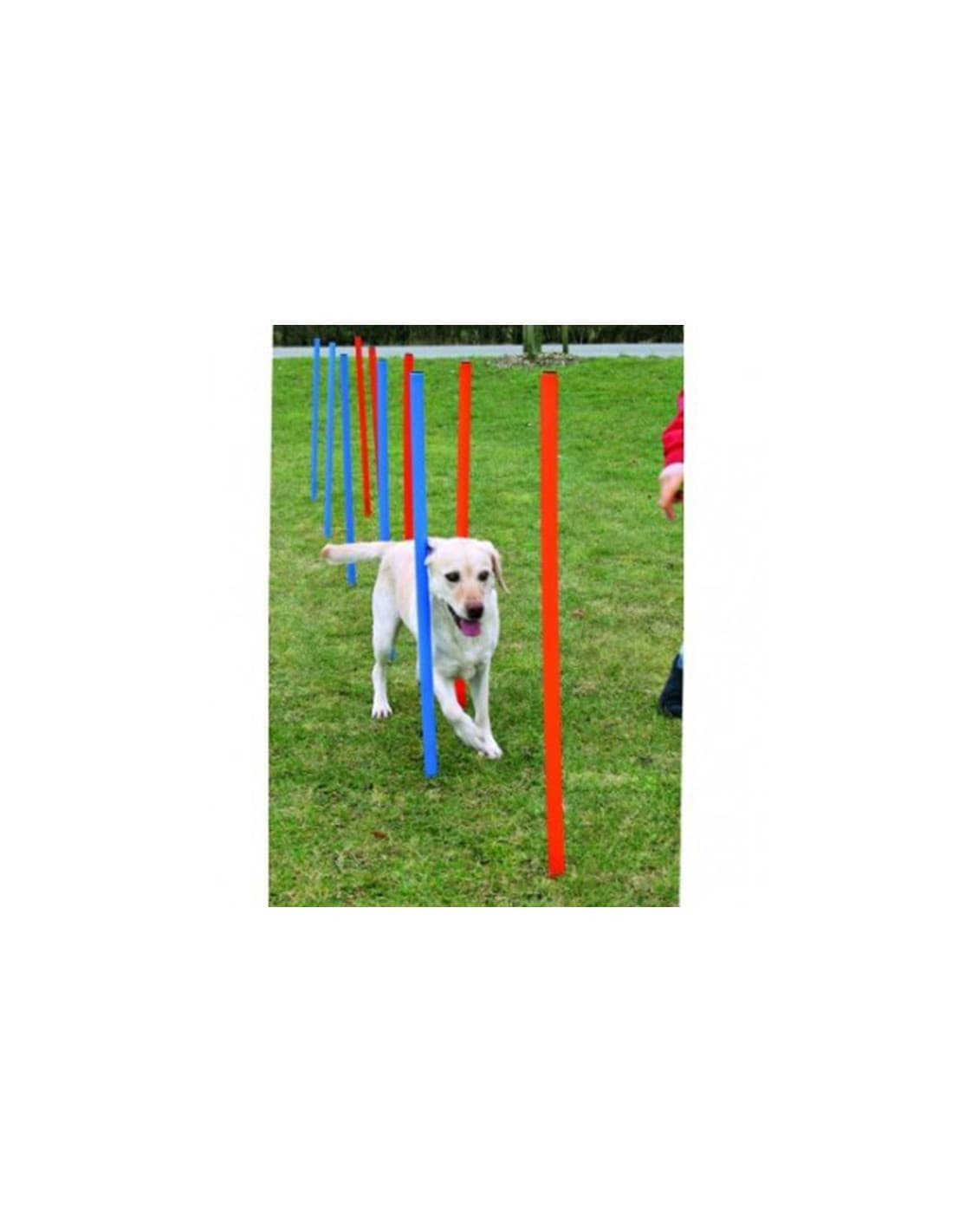 Trixie Dog Agility Slalom (Weave Poles), 12 pcs, 3.8 ft.
