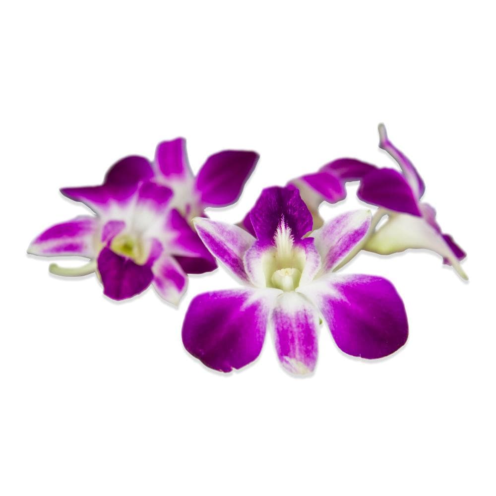 Edible Purple Flowers