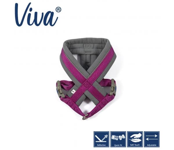 Ancol Viva Padded Dog Harness Purple - My Pet HQ