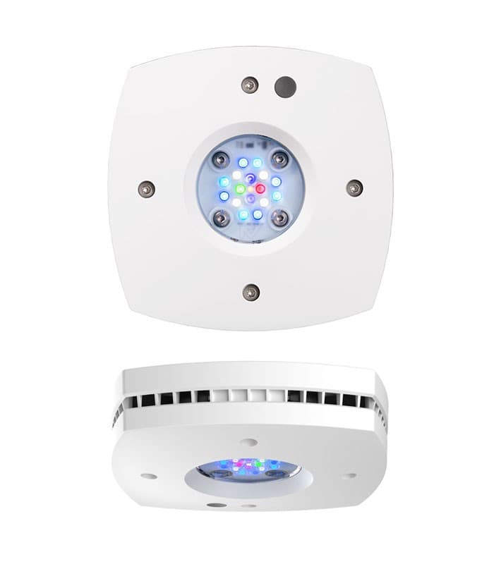 AI Prime 16HD (White) Marine Reef Aquarium Lighting