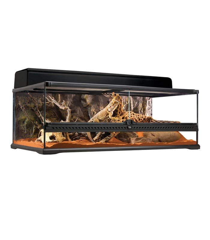 Exo Terra PT2611 Terrarium, Desert Reptile Housing Habitat
