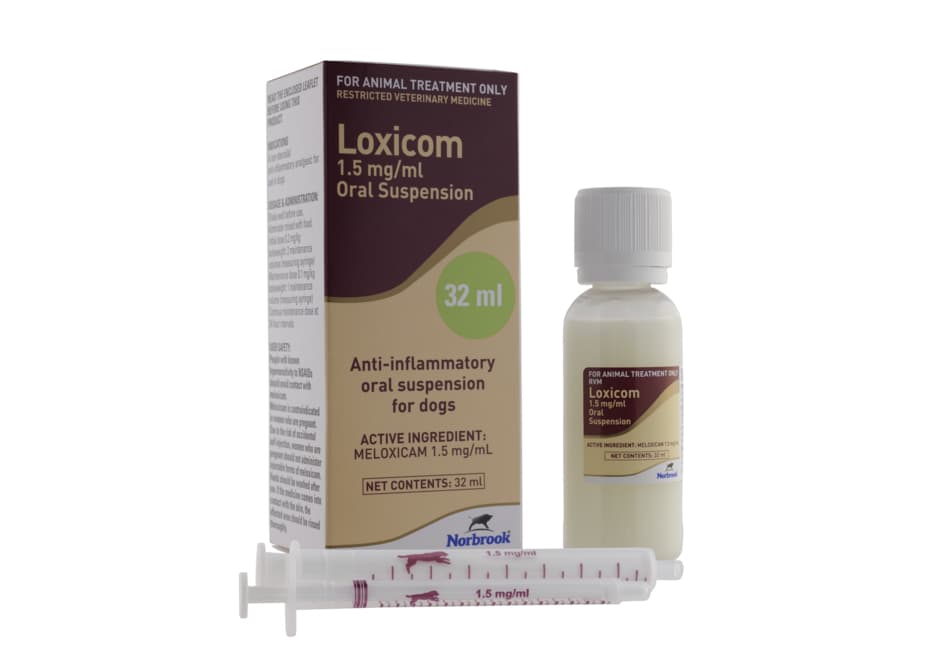 Loxicom Oral Suspension for Dogs