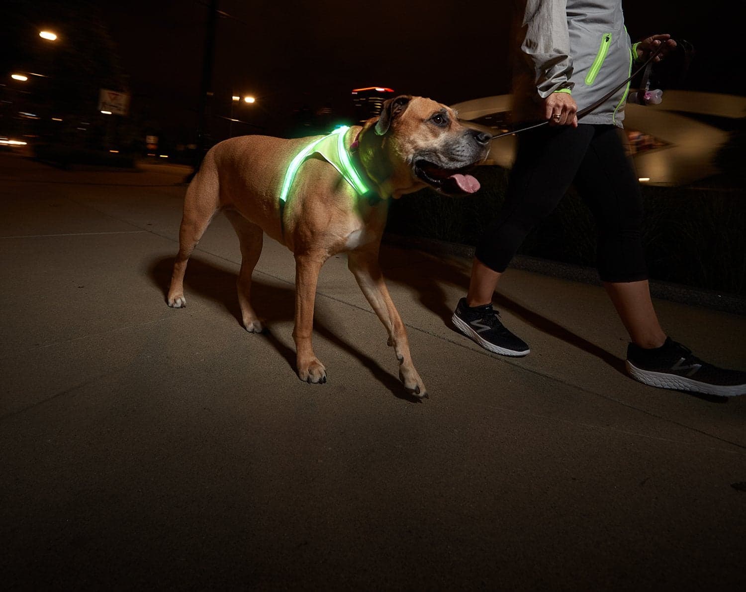 LightHound - LED Illuminated, Reflective Dog Harness - Noxgear