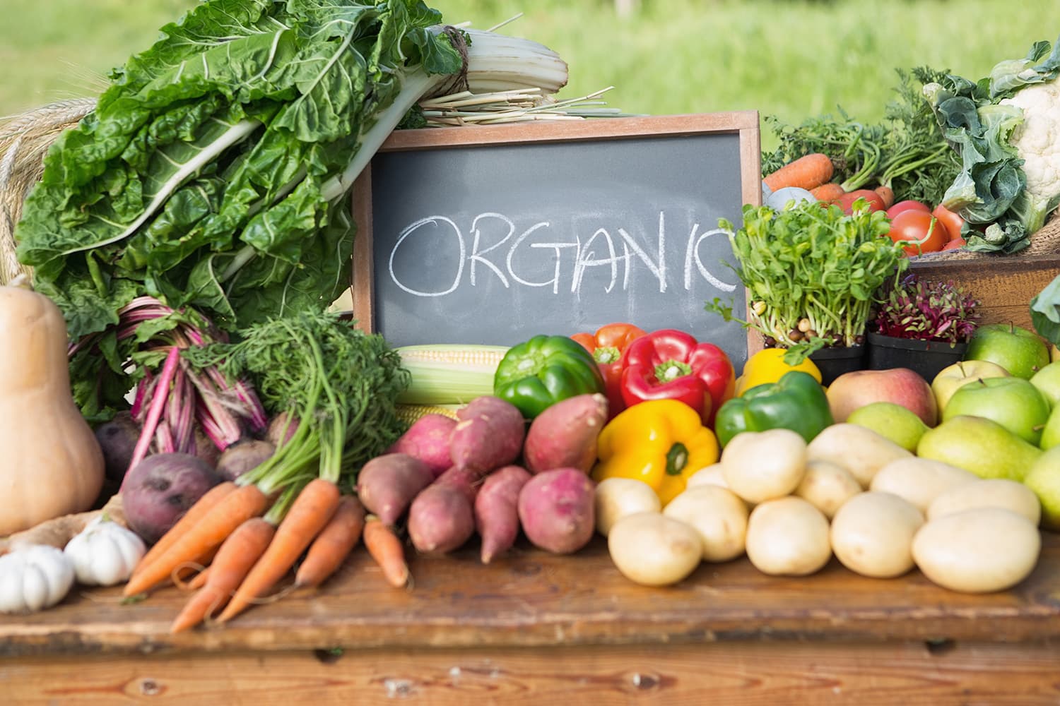 Organic Farm NZ – for the organic producers in NZ