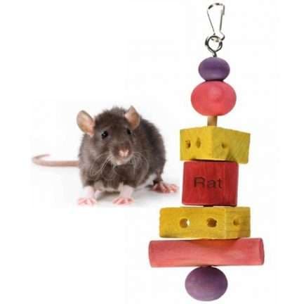 Kaytee Perfect Chews for Birds