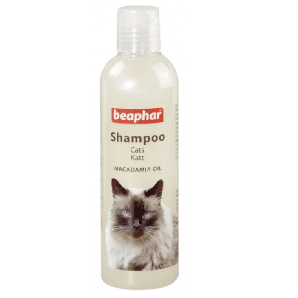 Buy Beaphar Katt Macadamia Oil Shampoo for Cats Online | Beaphar Cat ...