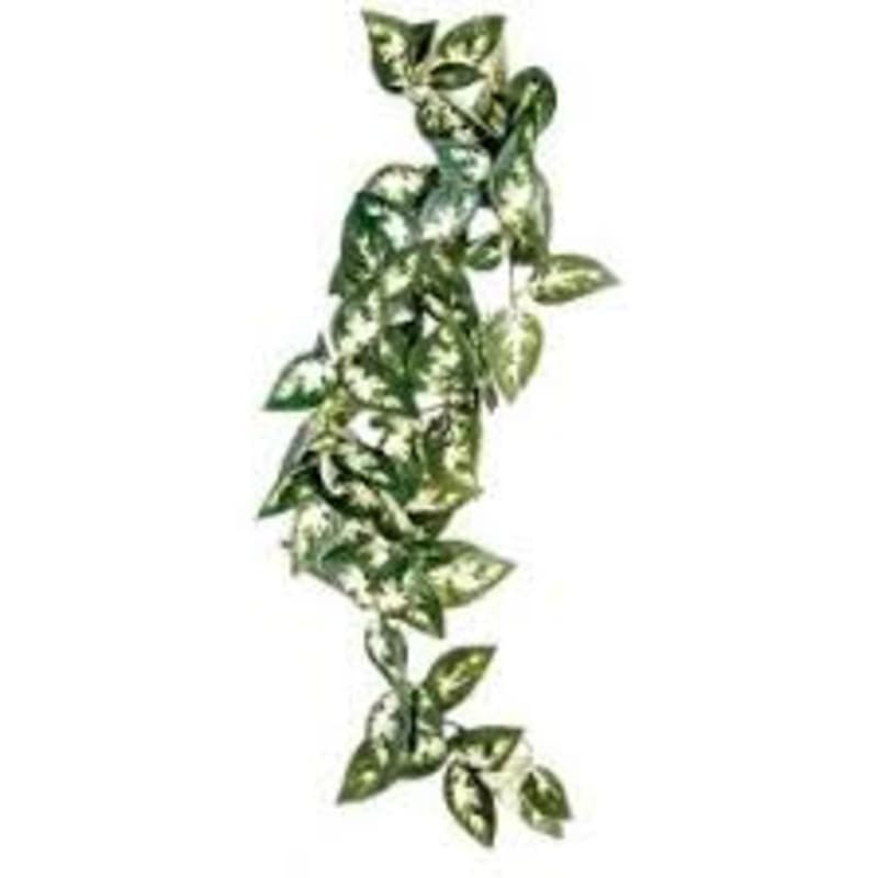 Komodo Habitat Borneo Vine 13cm - Premium Pet Fish, Aquarium Food ...