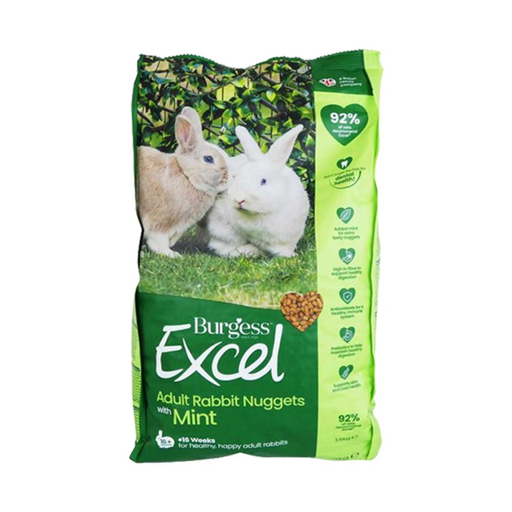 BURGESS Excel Rabbit Nuggets Mint, 10kg • Rabbit Food