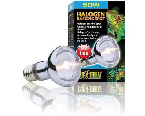Exo Terra Halogen Basking Spot 50w - Petology