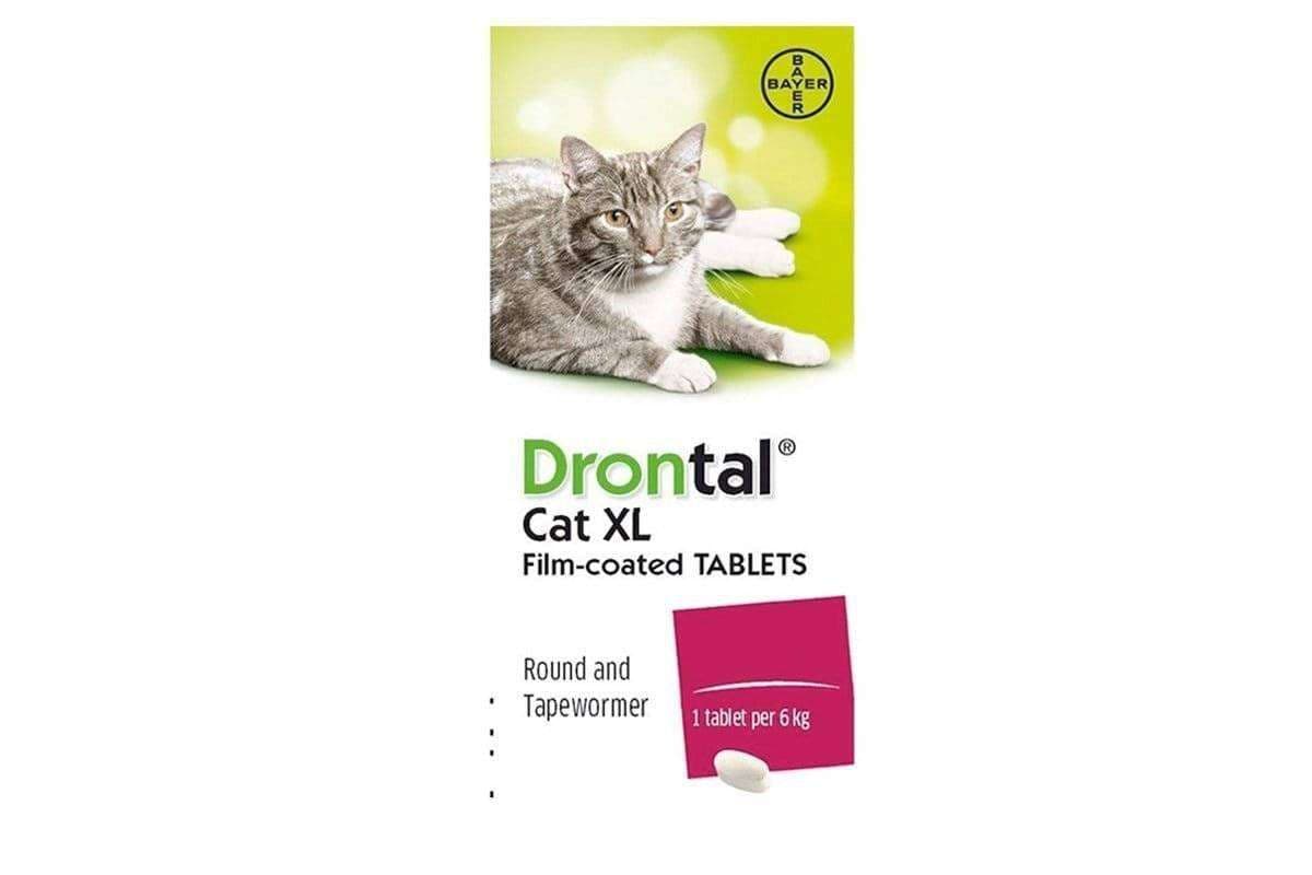 Drontal Cat Wormer Dosage at Mitchell Leadbeater blog