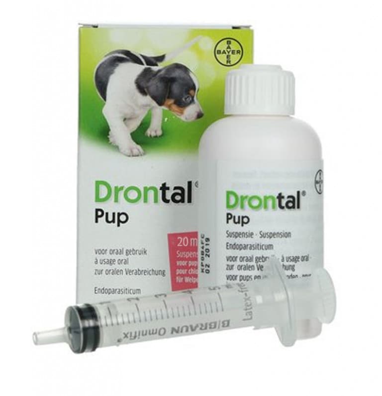 Bayer Drontal Puppy Oral Suspension Dewormer 20 ml – Petzo