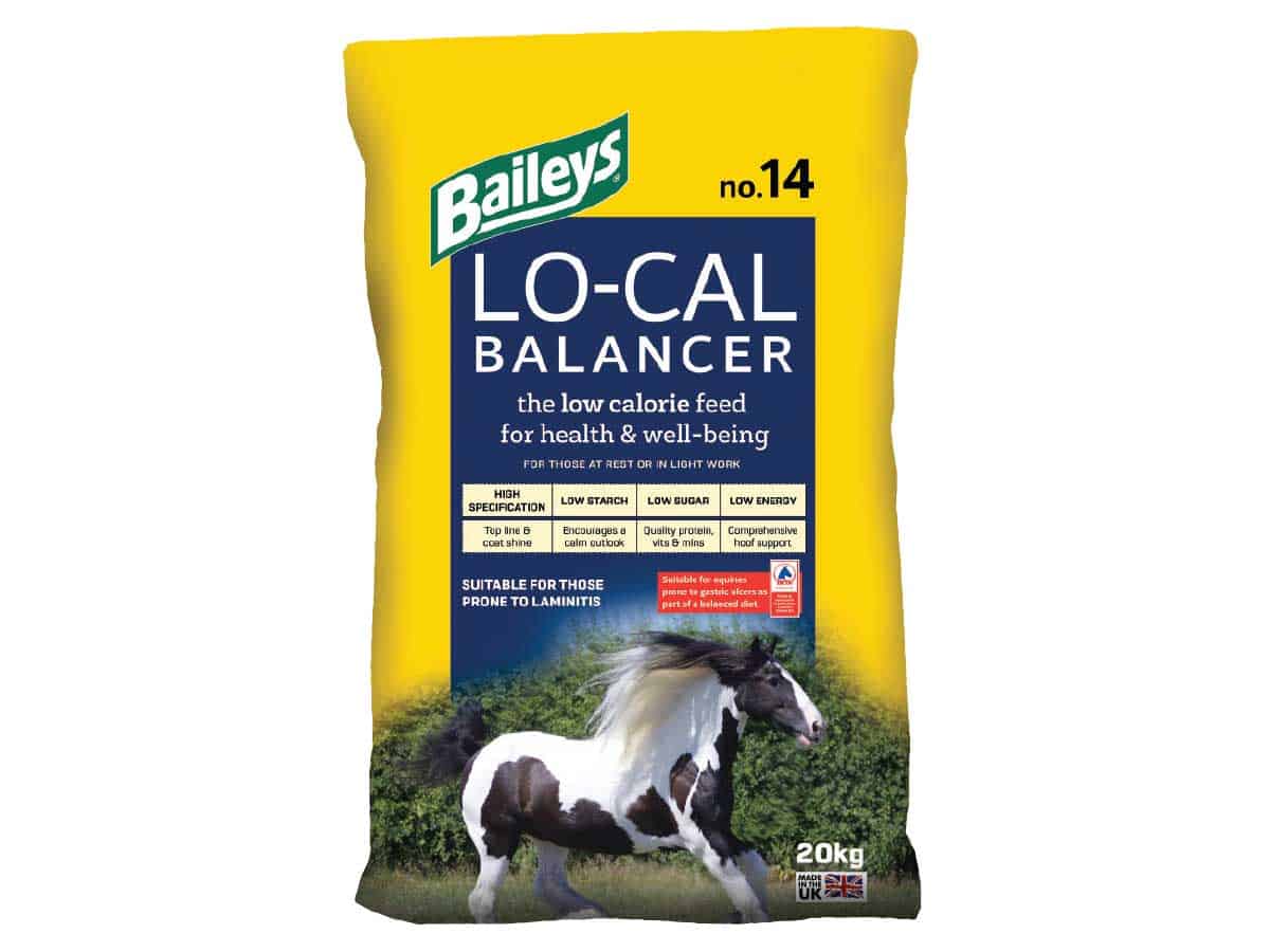 GA_Baileys-local-balancer | Pony Magazine