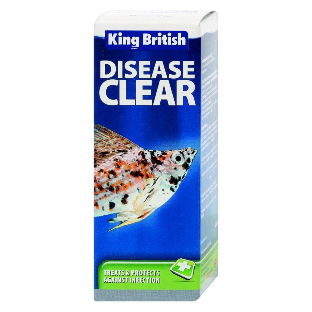 King British Disease Clear