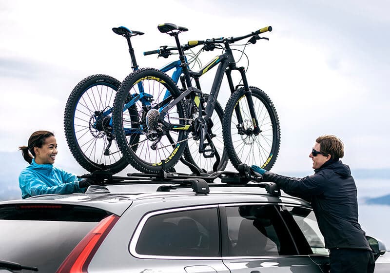 Thule silver ProRide 598.