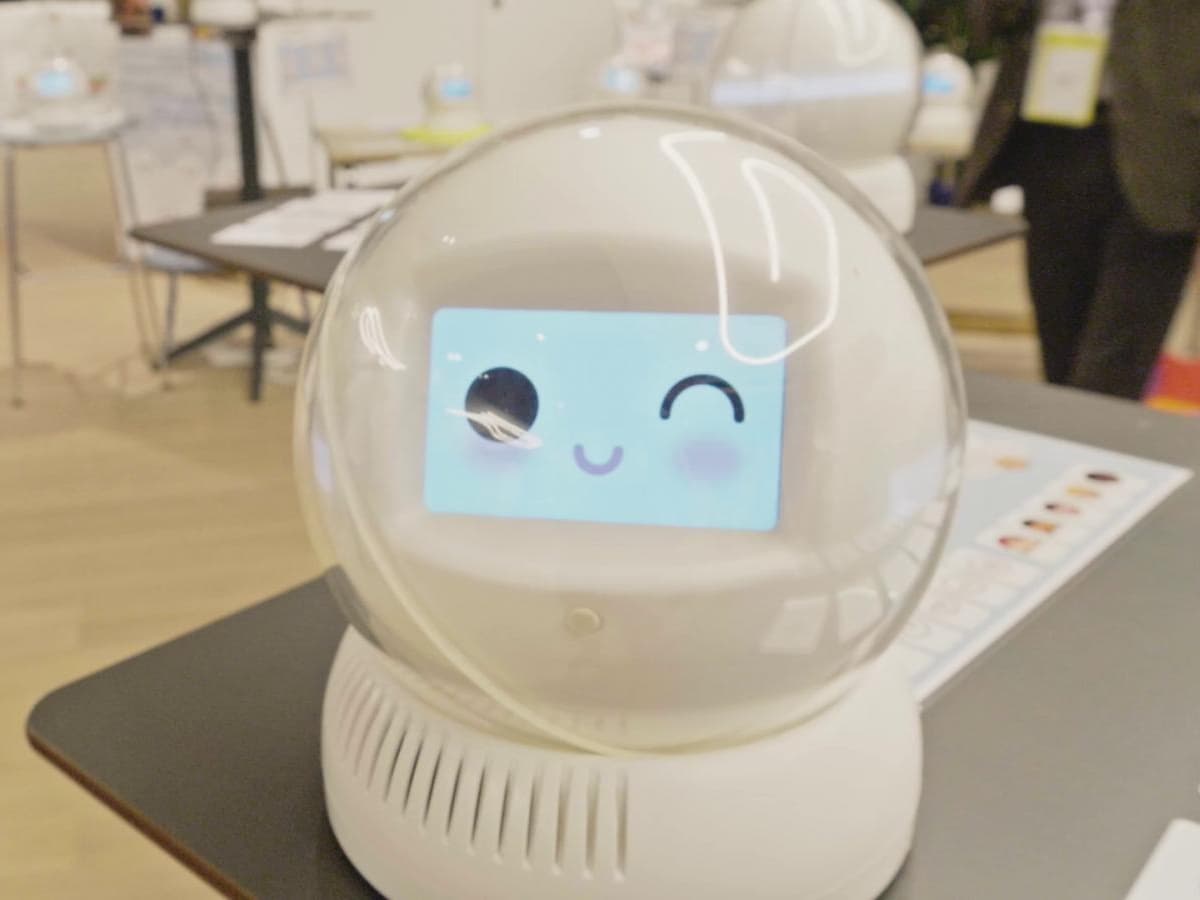 Handicap : Leka, un robot au service des enfants et des éducateurs