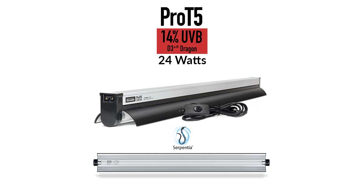 Arcadia ProT5 UVB Dragon 24w - High Output UVB Kit - Serpentia