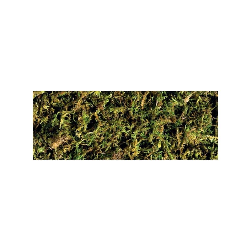 Exo Terra Forest Moss - 2 Pack